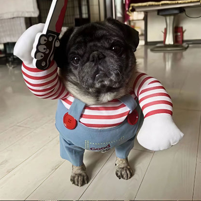 bulldog  qui porte le deguisement chien parfait pour les fetes