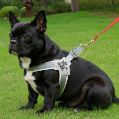 bulldog qui porte le harnais anti  traction chien sangle de poitrine gris elegant