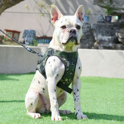 bulldog qui porte le harnais anti traction pour chien servidog vert camouflage de bonne qualite