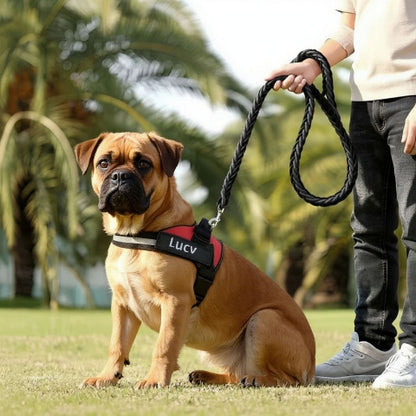 bulldog qui porte le harnais chien de service servidog rouge
