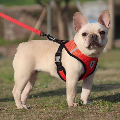 bulldog qui porte le harnais chien en maille rouge de bonne qualite