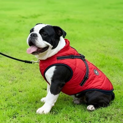 bulldog qui porte le harnais chien manteau d hiver rouge efficace