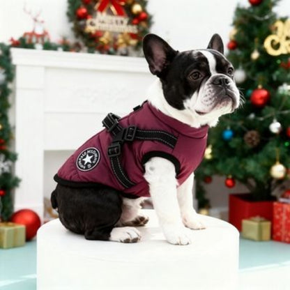 bulldog qui porte le harnais chien manteau d hiver violet tres chic