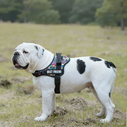 bulldog qui porte le harnais pour chien de service Servidog avec des couleurs vives jolies