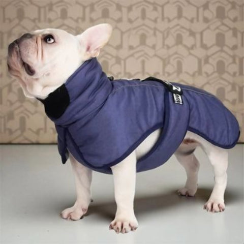 bulldog qui porte le manteau chien impermeable bleu marine doux