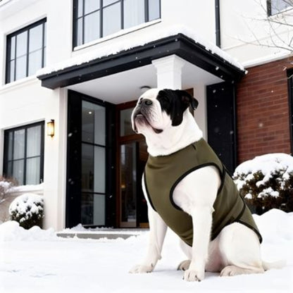 bulldog qui porte le manteau pour chien gilet vert chic
