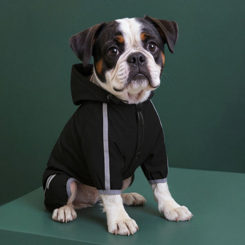 bulldog qui porte le manteau pour chien raincoat noir essentiel