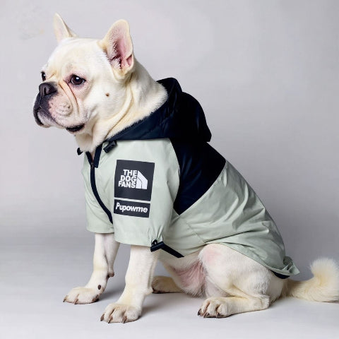 bulldog qui porte le manteau pour chien the dog face gris