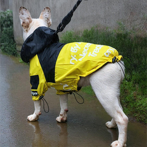 bulldog qui porte le manteau pour chien the dog face jaune dans la pluie
