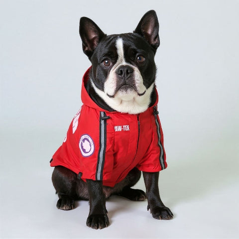 bulldog qui porte le manteau pour chien the dog face rouge essentiel