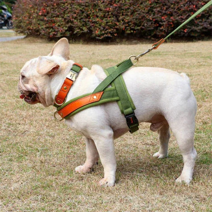 bulldog qui se promene dans un terrain et qui porte le harnais pour chien poitrail en nylon