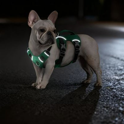 bulldog qui porte le harnais chien triple sangle de poitrine vert lumineux