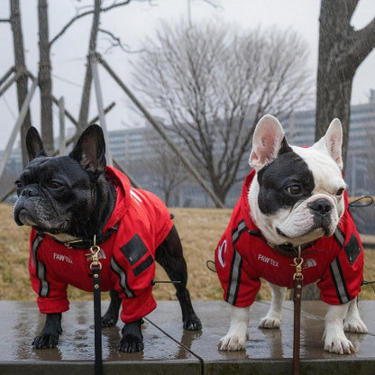 bulldogs qui portent le manteau pour chien the dog face rouge dans la rue
