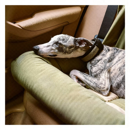 canape lit pour chien doux