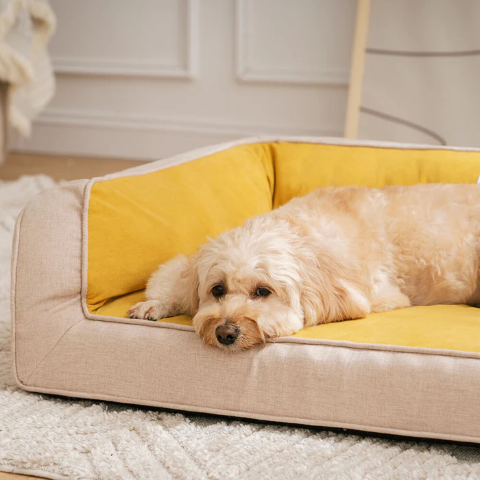 canape lit pour chien durabiliteb et confort