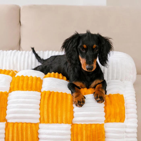 canape lit pour chien jaune de qualite