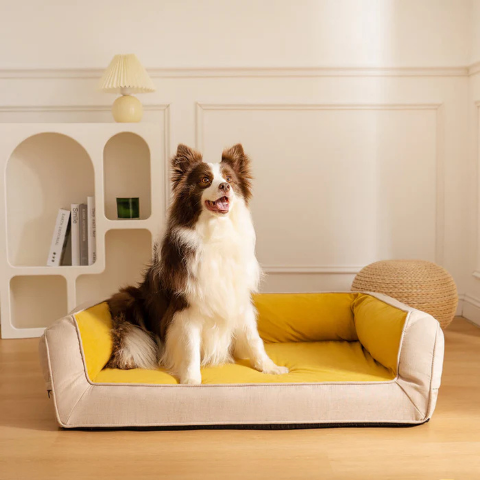 canape lit pour chien jaune harmonieux