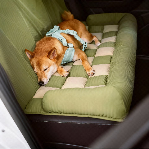 canape lit pour chien refuge parfait