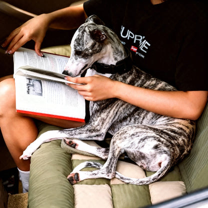 canape lit pour chien rembourre