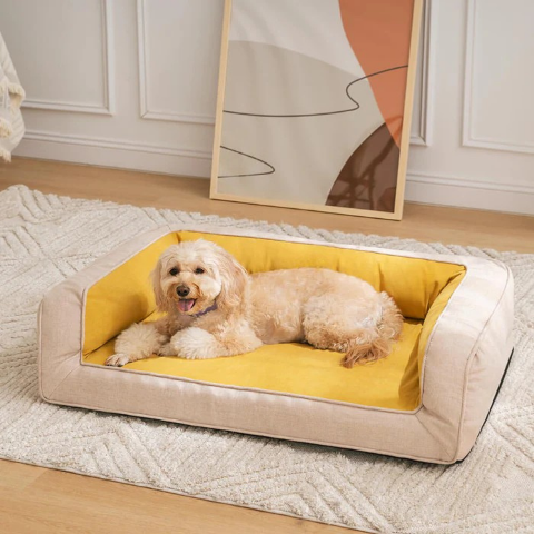 canape lit pour chien soulageant les douleurs articulaires