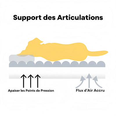 Canapé lit orthopédique pour chien | PetComfort™