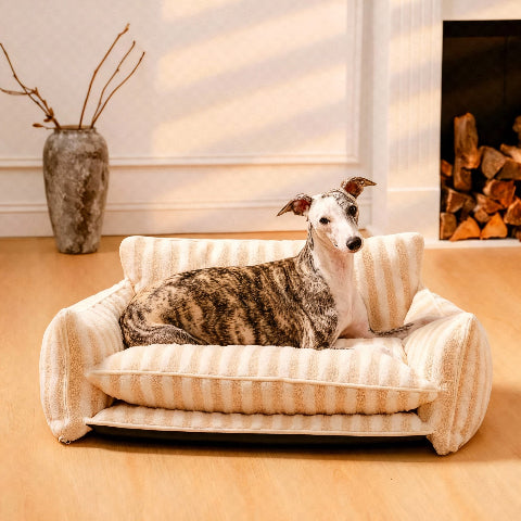 canape pour chien joli