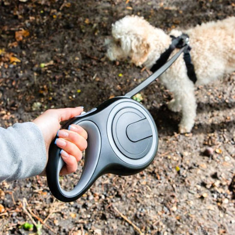 chien attache a la laisse de chien retractable en nylon durable