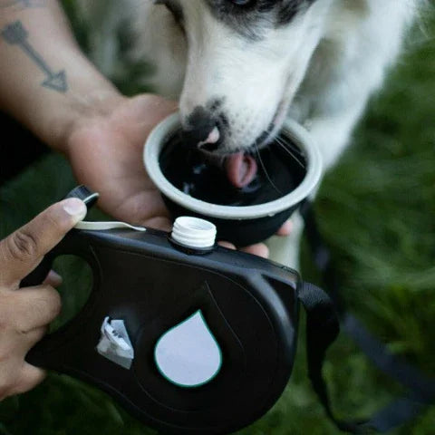 chien qui boit de l'eau a l'aide de la bouteille de la laisse pour chien multifonction 3 en 1