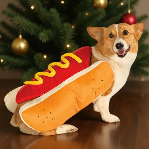 chien qui porte le deguisement chien hot dog adorable