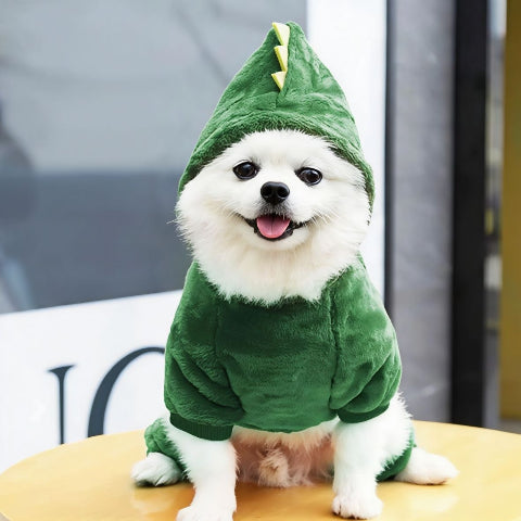chien qui porte deguisement chien vert de bonne qualite