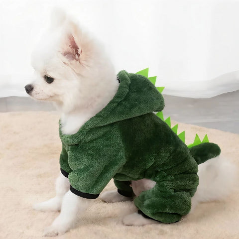 chien qui porte deguisement chien vert impeccable