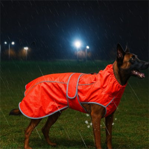 chien qui porte l impermeable pour chien de bonne qualite