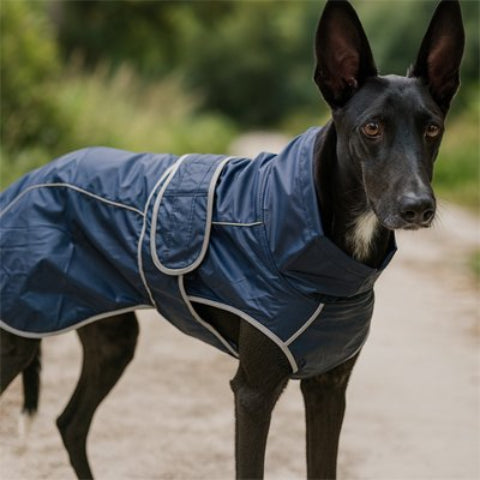 chien qui porte l impermeable pour chien durable
