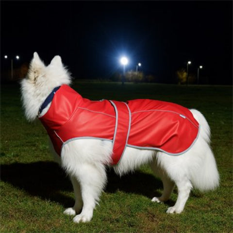 chien qui porte l impermeable pour chien robuste