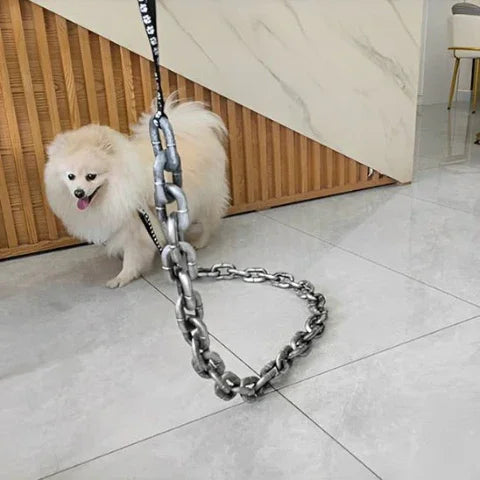 chien qui porte la laisse chien fausse chaine en plastique durable
