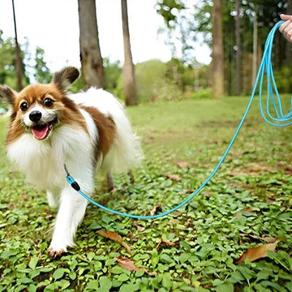 chien qui porte la laisse pour chien longue corde de dressage rembourree bleue