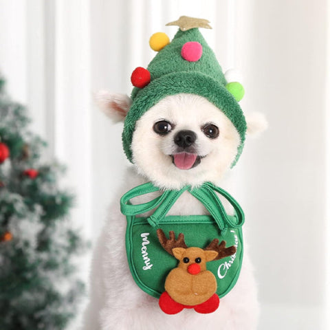 chien qui porte le deguisement chien christmas elegant