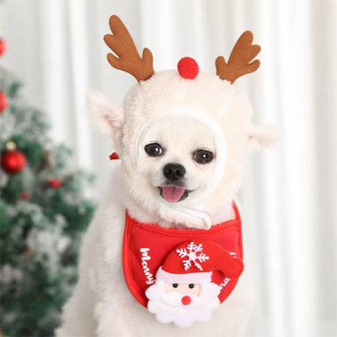 chien qui porte le deguisement chien christmas magique