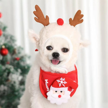 chien qui porte le deguisement chien christmas magique