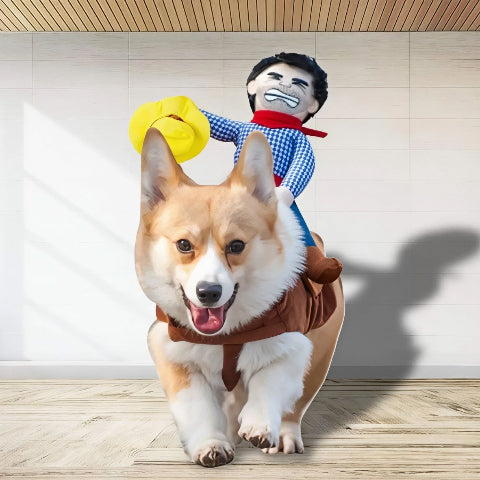 chiot qui porte le deguisement chien cowboy efficace