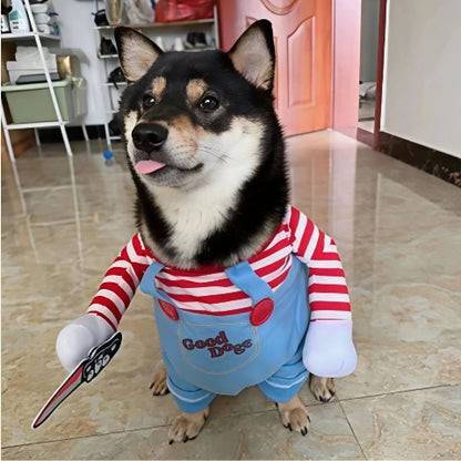 chien qui porte le deguisement chien pratique