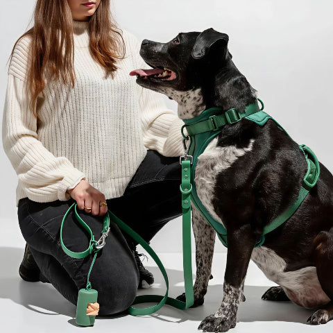 chien qui porte le harnais anti traction chien vert avec sa proprietaire