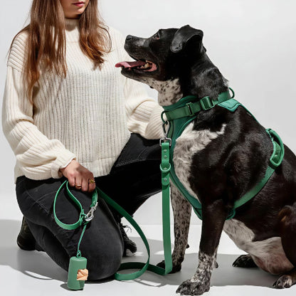 chien qui porte le harnais anti traction chien vert avec sa proprietaire