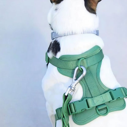 chien qui porte le harnais anti traction chien vert confortable