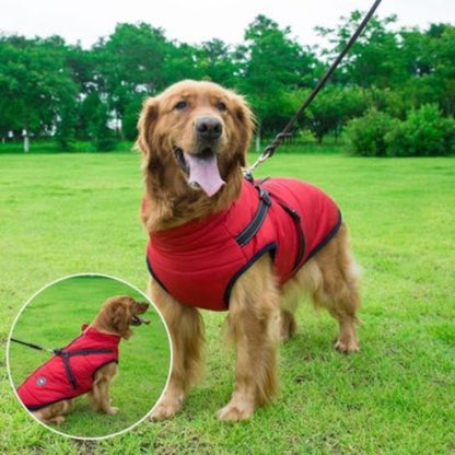 chien qui porte le harnais chien hiver rouge tres chaud