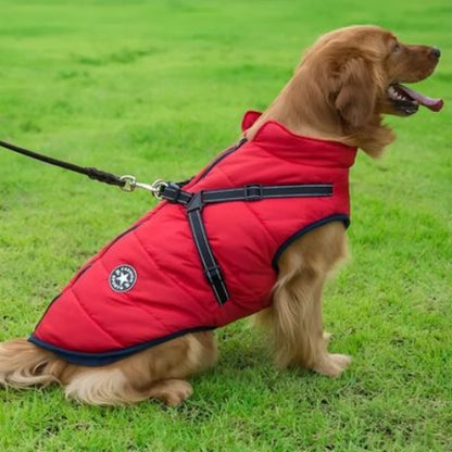 chien qui porte le harnais chien hiver rouge tres robuste