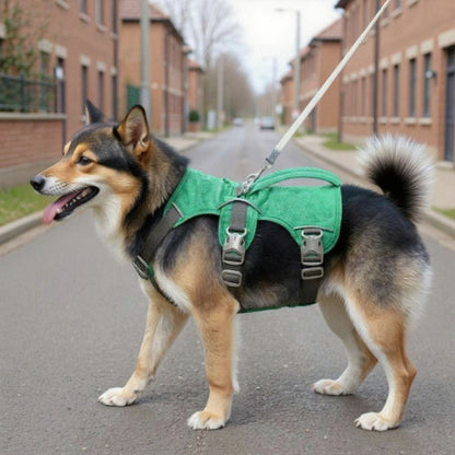 beagle qui porte le harnais chien triple sangle de poitrine vert efficace