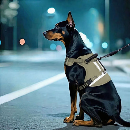 chien qui porte le harnais militaire nightsafe khaki