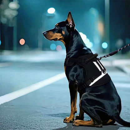 chien qui porte le harnais militaire nightsafe noir