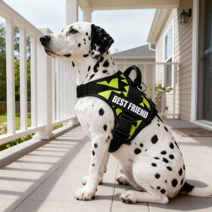 chien qui porte le harnais pour chien de service Servidog vert graffiti